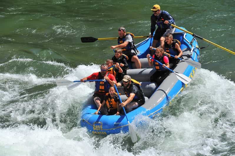 Jackson: 4-Hour Small Boat Snake River Whitewater Rafting - Key Points