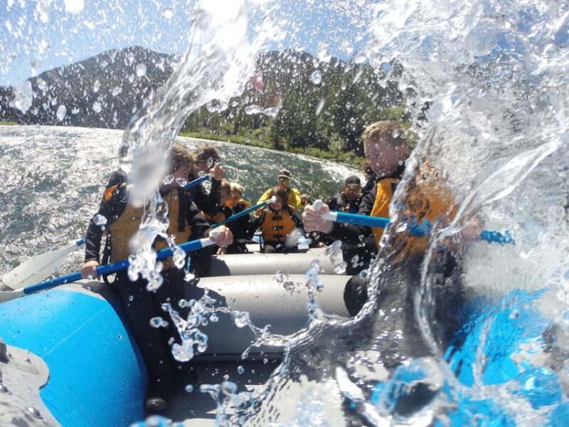 Jackson: 4-Hour Small Boat Snake River Whitewater Rafting - Who Will Love This Adventure?