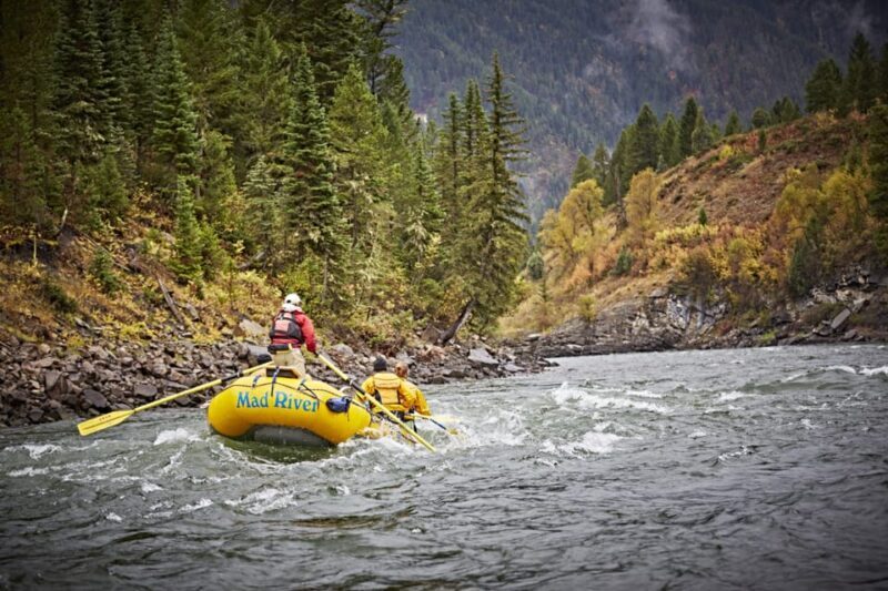 Jackson: 8-Mile Classic Boat Whitewater Rafting Trip - Overview and What You Can Expect
