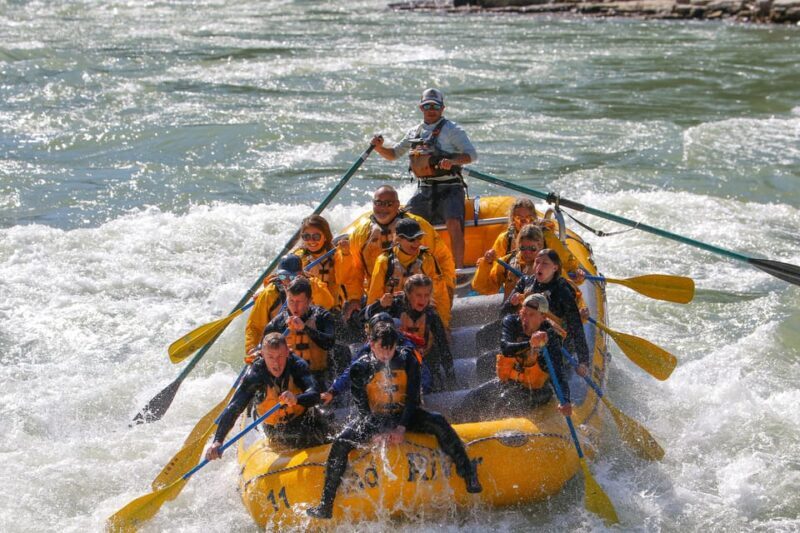 Jackson: 8-Mile Classic Boat Whitewater Rafting Trip - Authentic Reviews & Traveler Feedback