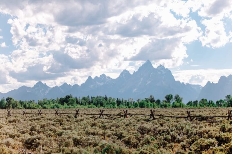 Jackson: Grand Teton Sunrise Safari with Naturalist Guide - An Up-Cclose Look at the Sunrise Experience