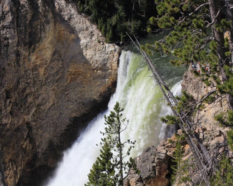Jackson Hole 2-Day Private Safari: Yellowstone Loops Tour - Final Thoughts