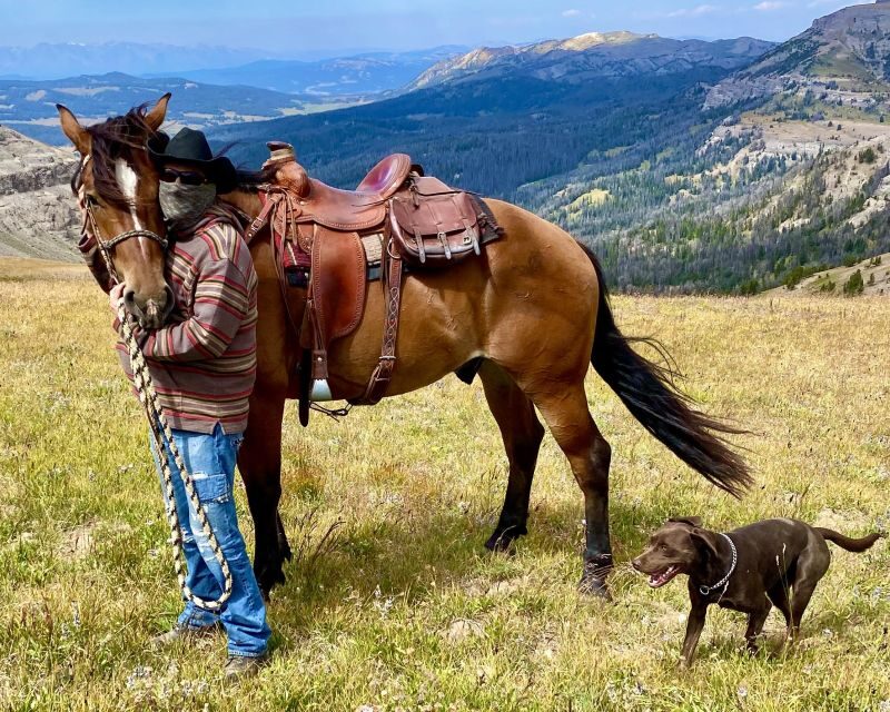 Jackson Hole: Bridger-Teton National Forest Horseback Ride - Who Should Consider This Tour?