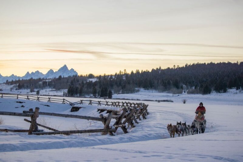 Jackson Hole: Dogsledding Tour with Hot Chocolate - FAQ