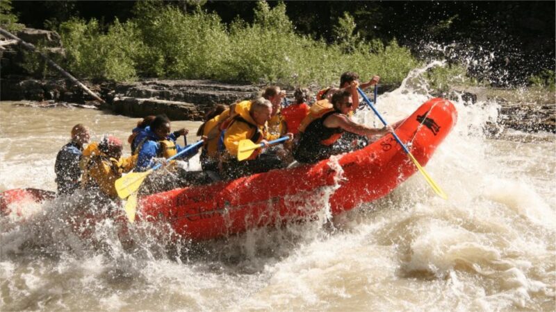 Jackson Hole: Snake River Whitewater Rafting Tour - An In-Depth Look at the Snake River Whitewater Rafting Experience