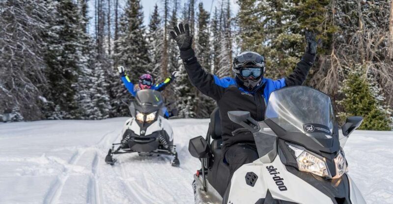 Jackson Hole: Turpin Meadow Snowmobile Tour - Who Will Love This Tour?
