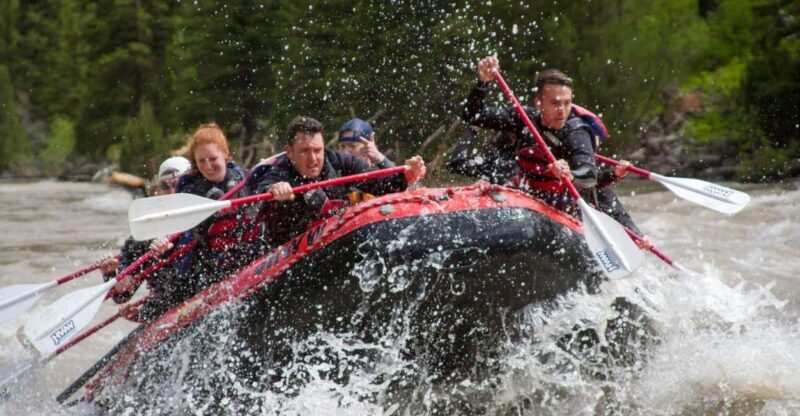Jackson: Snake River Class 2-3 Whitewater Rafting Adventure - How Does It Compare Value-Wise?