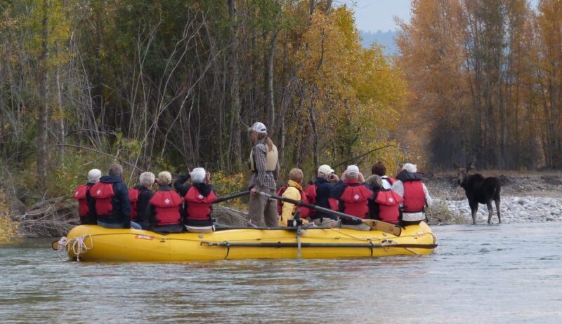 Jackson: Snake River Scenic Raft Float Tour with Teton Views - The Guides: Knowledgeable and Friendly