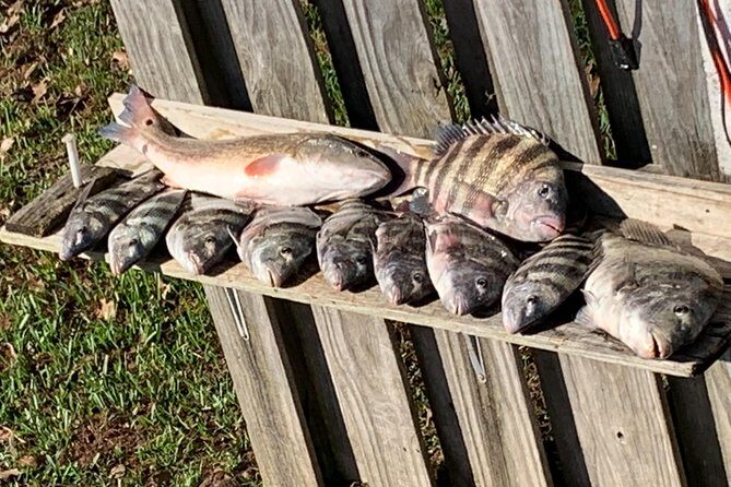 Jacksonville Fishing Charter-23' - Key Points