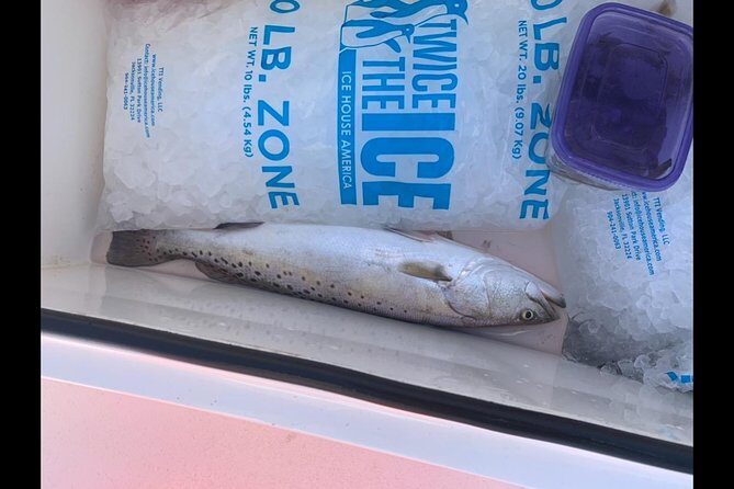 Jacksonville Fishing Charter-23' - The Experience from the Traveler’s Perspective