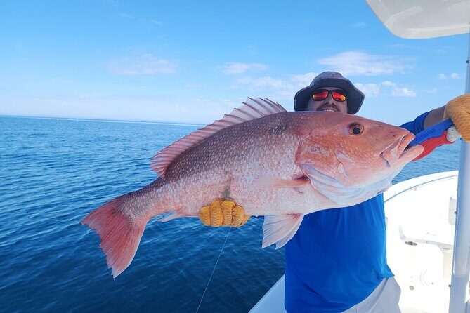 Jacksonville Private Boat Tour Daytime or Sunset, up to 6 people - The Sum Up: Is It Worth It?