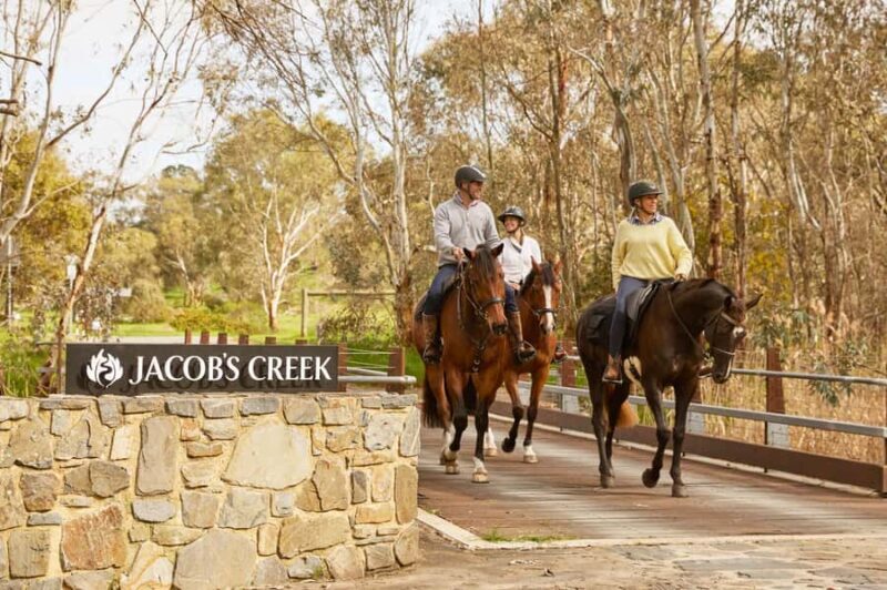 Jacobs Creek Vineyard Horse Ride and Tasting - The Experience in Detail