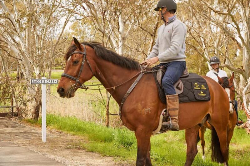 Jacobs Creek Vineyard Horse Ride and Tasting - Final Thoughts