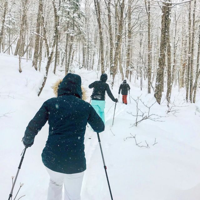 Jacques-Cartier National Park: Skiing Excursion - An Introduction to the Tour