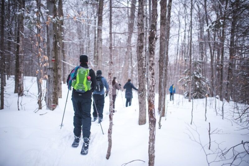 Jacques-Cartier National Park: Skiing Excursion - Highlights and Unique Aspects