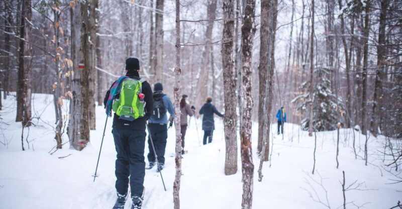 Jacques-Cartier National Park: Skiing Excursion - What the Reviews Say