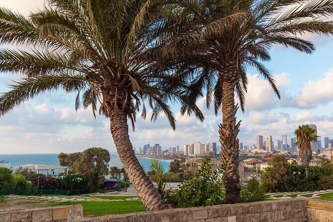 Jaffa and Neve Tzedek walking tour - An Overview of the Tour