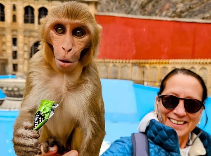 Jaipur: Amber Fort Guided Tour with Skip-the-Line Tickets - The Value of a Guided Tour