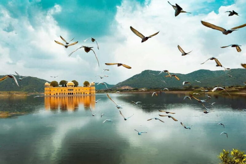 Jaipur: Amber Fort, Stepwell & Jal Mahal with Pickup - Key Points