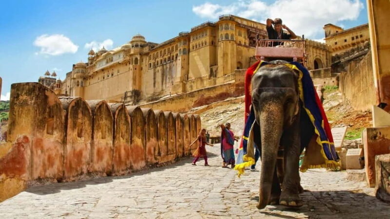 Jaipur: Amber Fort, Stepwell & Jal Mahal with Pickup - A Closer Look at the Itinerary