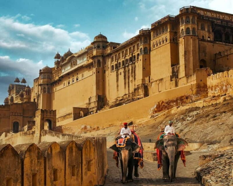 Jaipur: Amber Fort, Stepwell & Jal Mahal with Pickup - Who Should Book This Tour?
