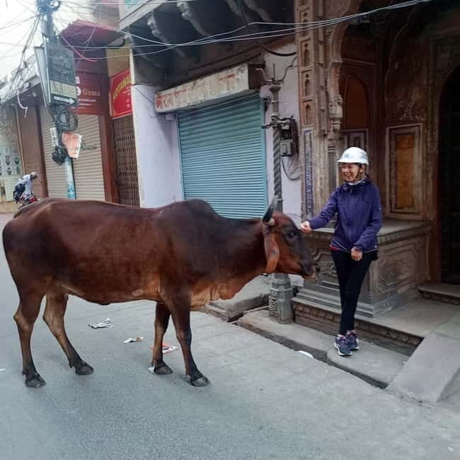 Jaipur: Guided Morning Bicycle Tour with Food Tasting - FAQs