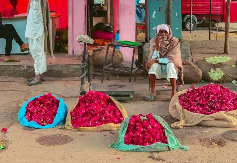 Jaipur: Half-Day Guided Sightseeing Tour with Flower Market - Who is this tour best suited for?