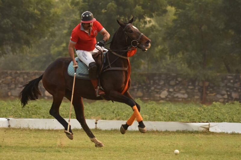 Jaipur Horse Riding Adventure - The Sum Up: Who It’s Perfect For