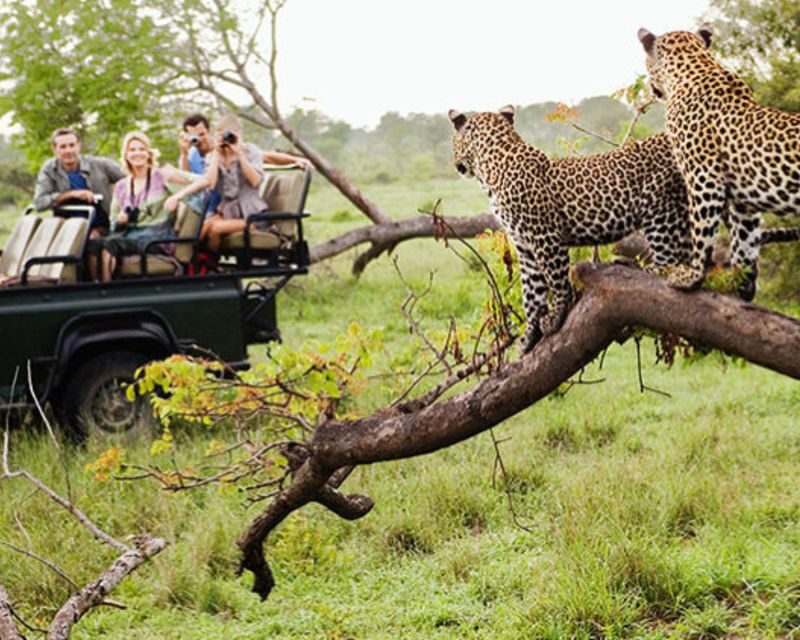 Jaipur: Jhalana/Amargarh Leopard Safari Private Tour - Key Points