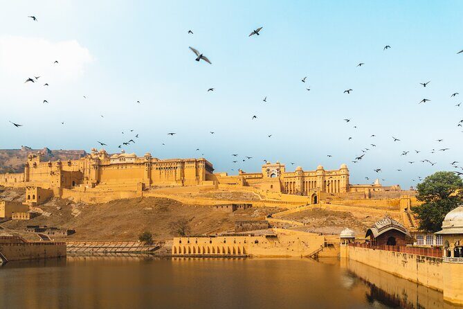 Jaipur Pink City Private Day Trip from Delhi with transfer - The Experience and Its Value