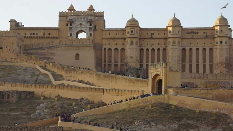 Jaipur: Private Full-Day City Tour - Key Points