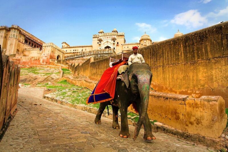 Jaipur: Private Full-Day City Tour by Tuk-Tuk or Car - Who Should Consider This Tour?