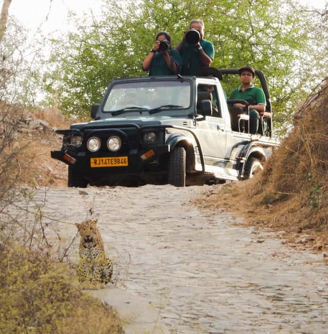 Jaipur: Private Jhalana Leopard Safari Tour - Key Points