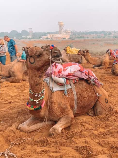 Jaipur: Private Same-Day Trip to Ajmer & Pushkar - FAQ
