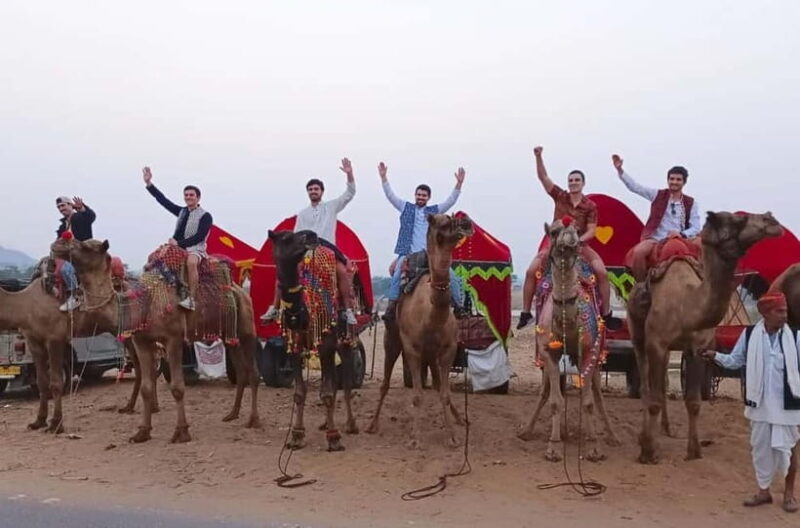 Jaipur: Pushkar Day Trip with Optional Camel Safari - Practical Tips for a Great Experience