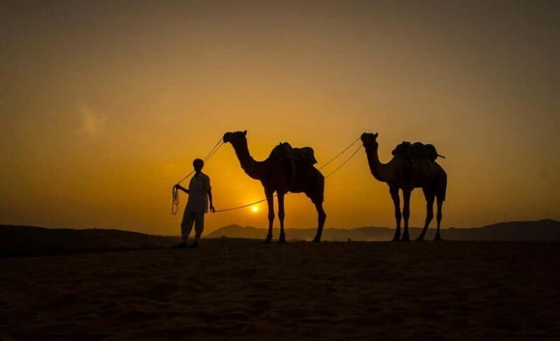 Jaipur: Pushkar Day Trip with Optional Camel Safari - Who Might Want to Skip or Modify