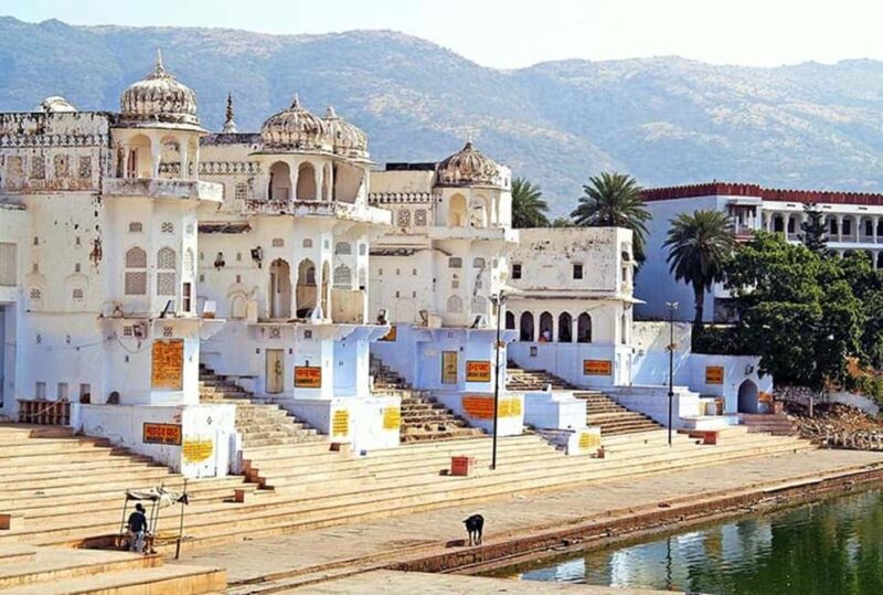Jaipur, Pushkar & Twin Ranthambore Safaris: 4-Day Adventure - The Sum Up