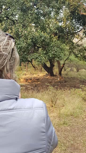 Jaipur: Ranthambhore Tiger Safari Day Trip - An In-Depth Look at the Jaipur to Ranthambhore Day Trip