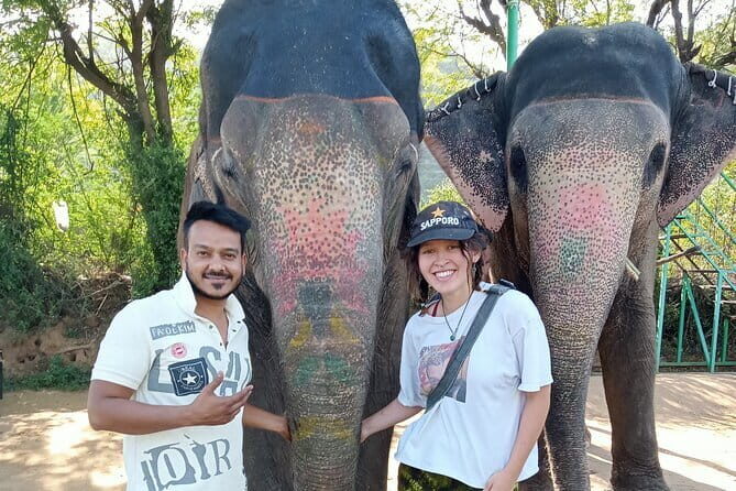 Jaipur Tuktuk Local Sightseeing Day Tour - An Introduction to the Jaipur Tuktuk Tour