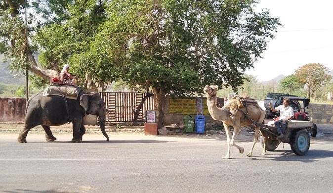 Jaipur Walking Tour - Final Thoughts