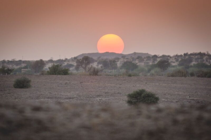 Jaisalmer: 2-Day Thar Desert Experience - The Value for Money