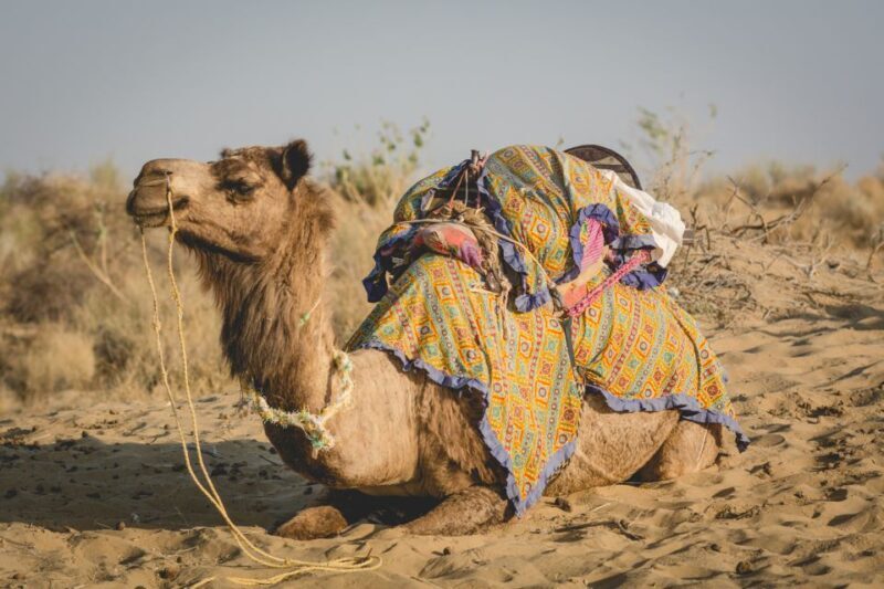 Jaisalmer: 2-Day Thar Desert Experience - FAQs