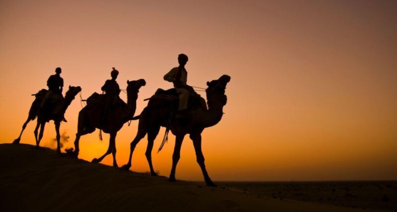 Jaisalmer: 2 Days Adventure in the Thar Desert - Practical Tips for Making the Most of Your Tour
