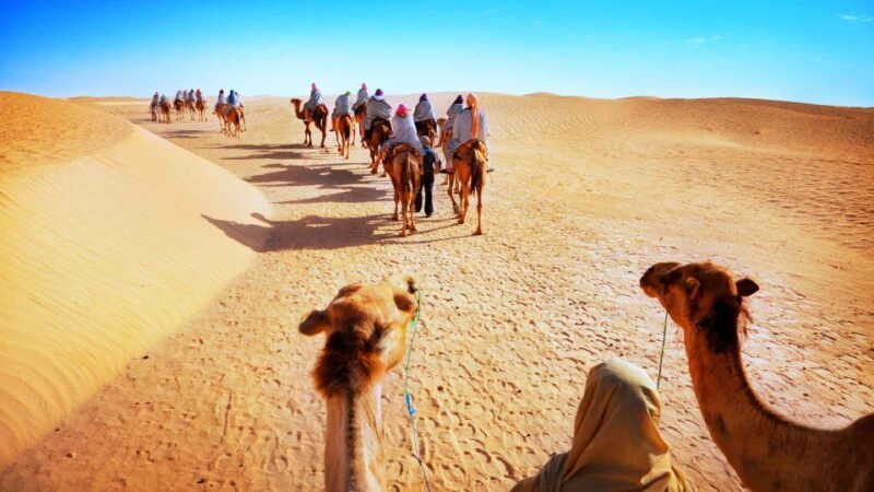 Jaisalmer: Desert safari with sunset and dinner on dunes - Introduction
