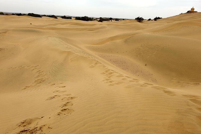 Jaisalmer One Day Sightseeing Tour - Introduction