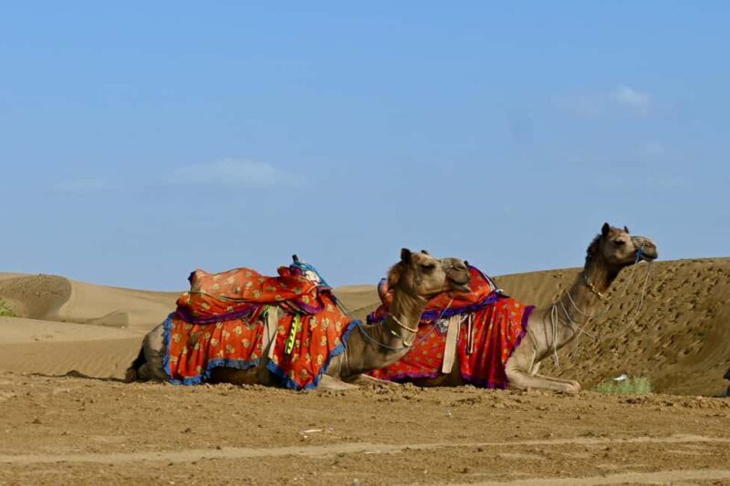 Jaisalmer: Thar Desert Sunset Camel Ride with Dinner & Show - Exploring the Experience: A Balanced Look