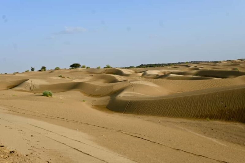 Jaisalmer: Thar Desert Sunset Camel Ride with Dinner & Show - Who Is This Tour Best For?