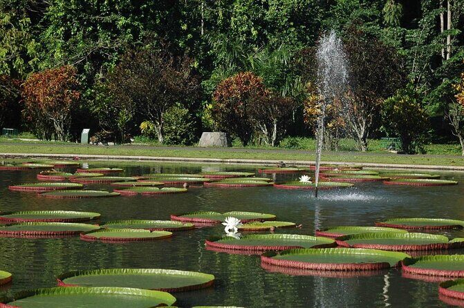 Jakarta Bogor Botanical Garden, Waterfall and Rice terrace, Lunch - Key Points