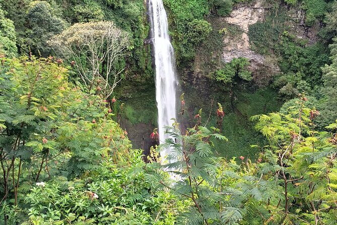 Jakarta Bogor Botanical Garden, Waterfall and Rice terrace, Lunch - The Value of This Tour