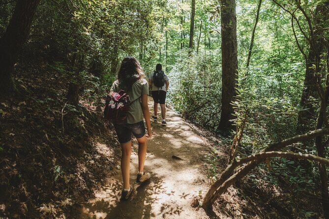 Jakarta Rainforest Hiking to Hidden Waterfall & Suspension Bridge - Stop 3: Gede Pangrango National Park – Twin Waterfalls & Hidden Gems